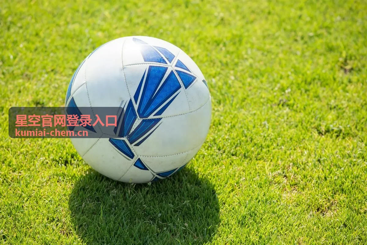 星空官网登录入口多终端登录安全提示配图